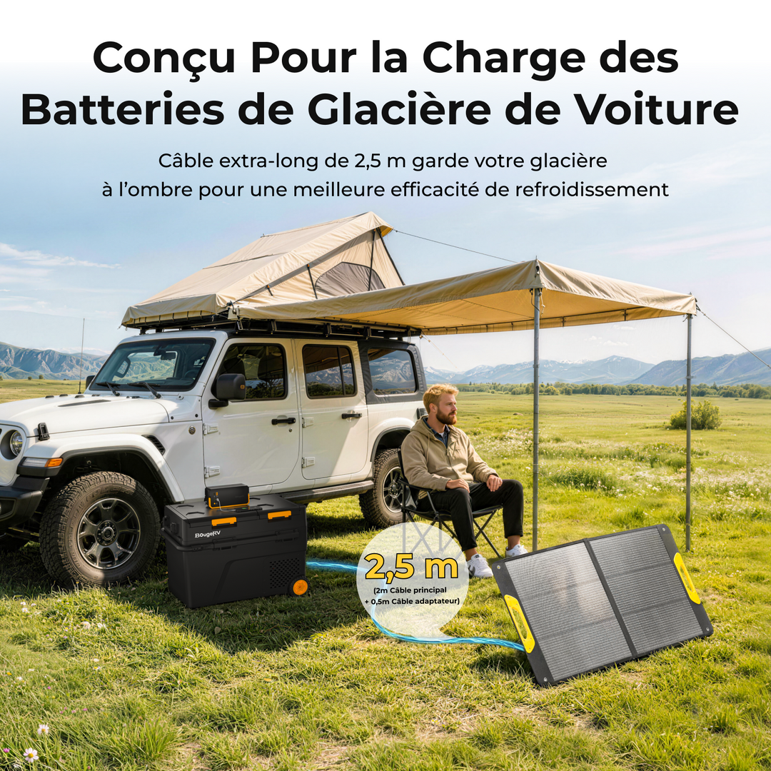 Nouveau panneau solaire portable de 100 W